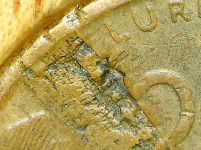 Is-It-Possible-For-The-Laceration-On-This-1946-D-Wheat-Penny-To-Be-An-Error?